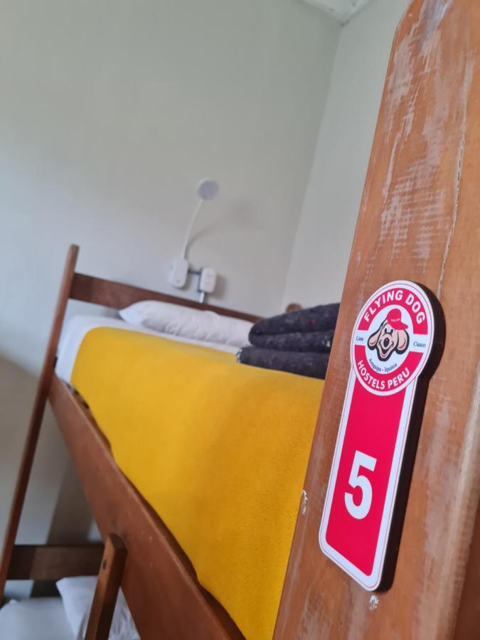 Flying Dog Hostel *